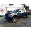 Image 2 : F6 --  2009 FORD F150 SUPERRCREW 4X4, Blue, 258385 KM