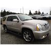 Image 8 : D3 --  2008 CADILLAC ESCALADE LUXURY AWD, Gold, 173499 KM
