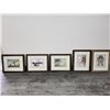 Image 1 : Lot of 5 Framed pictures