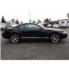 Image 11 : B3 --  2001 FORD MUSTANG, Black, 181327 KM