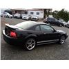 Image 13 : B3 --  2001 FORD MUSTANG, Black, 181327 KM