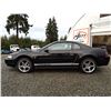 Image 23 : B3 --  2001 FORD MUSTANG, Black, 181327 KM