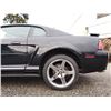 Image 30 : B3 --  2001 FORD MUSTANG, Black, 181327 KM