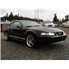 Image 8 : B3 --  2001 FORD MUSTANG, Black, 181327 KM