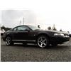 Image 9 : B3 --  2001 FORD MUSTANG, Black, 181327 KM