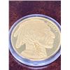 Image 1 : USA 2010 Buffalo Indian head commemorative copy