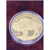 Image 2 : USA 2010 Buffalo Indian head commemorative copy