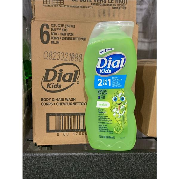 CASE LOT Dial Kids Melon 2 in 1 6x355ml