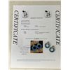 Image 3 : Ladies Apatite Gemstone 11.42 Total Carat Weight Earrings with certificate value $1300.00