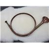 Image 1 : Copper french horn