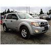 Image 8 : A3 --  2008 FORD ESCAPE XLT, Silver, 307720 KM