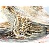 Image 5 : ALLSON REED SIGNED BROOCH