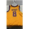 Image 8 : 3 NBA REPLICA JERSEYS RAPTERS STOUDAMIRE, LAKERS BRYAN AND CLIPPERS GRIFFIN WITH MINI BASKETBALL HOO