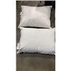 Image 3 : DUVET AND 2 PILLOWS