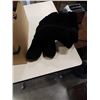 Image 2 : 10 PAIRS OF WOMENS SHOES AND BOOTS SIZE 38 (7-8)