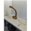 Image 1 : FLEXIBLE NECK DINOSAUR SKELETON TABLE LAMP