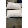 Image 2 : DUVET AND 2 KING SIZE PILLOWS