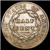 Image 2 : 1828 13 Stars Classic Head Half Cent LIGHT CIRC