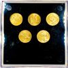 Image 2 : 2010 US 1oz Gold $5 Eagle Set (5 Coins)
