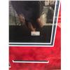 Image 3 : ALEX MORGAN SIGNED AND CUSTOM FRAMED 20 X 24 TEAM USA DISPLAY (NEW ENGLAND COA)