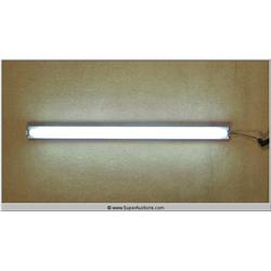 "Powder Blue" 2009 with "Patrick Swayze" Fluorescence Ceiling Light used as a Movie Prop