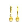 Image 1 : Genuine 6 ctw Citrine Earrings 14KT Yellow Gold - REF-30H6X