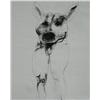 Image 2 : Leonard Baskin, Dog Figure Ink Drawing