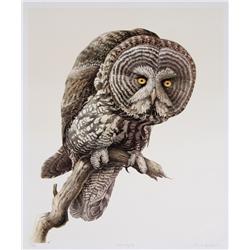 James Fenwick Lansdowne, Great Grey Owl, Lithograph