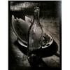 Image 1 : Josef Sudek, Still Life, Photograph