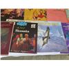 Image 9 : Multiple Vintage Vinyl Records: Hollywood Gold, Polynesian Dances, Showboat, etc