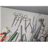 Image 4 : Multiple Havel's Surgical Blades, Forceps, Tweezers, Scissors, X-acto Knife Set, etc