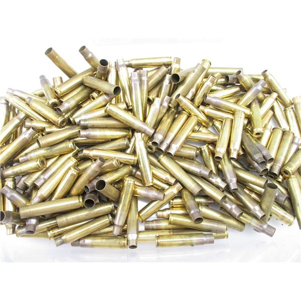 NON-PRIMED .223 REM CASES LOT