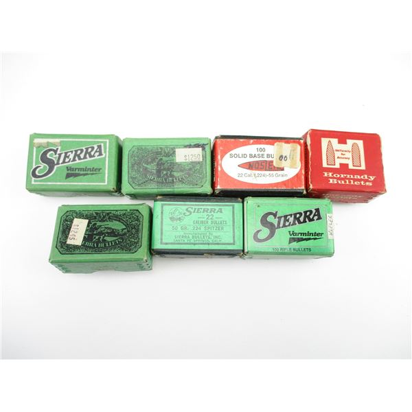 ASSORTED .22 CAL BULLETS LOT