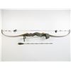 Image 1 : DON ASSENHEIMER RE-CURVE BOW