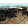 Image 5 : Bar 7 Ranch - 750# Heifers - 80 Head (MacGregor, MB)