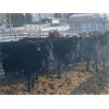 Image 2 : Dennis & Barb Holmes - 693# Heifers - 130 Head (Cochrane, AB)