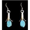 Image 1 : Navajo Earrings
