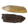 Image 1 : Antique Whale Tooth & Plate