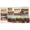 Image 1 : Calif. Ostrich Farm Postcards [142234]