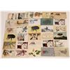 Image 1 : Postcards of Bugs [142460]