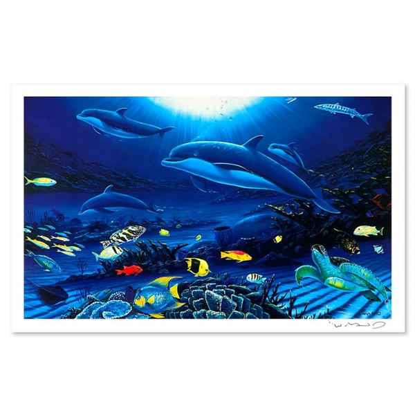 In The Company of Dolphins by Wyland