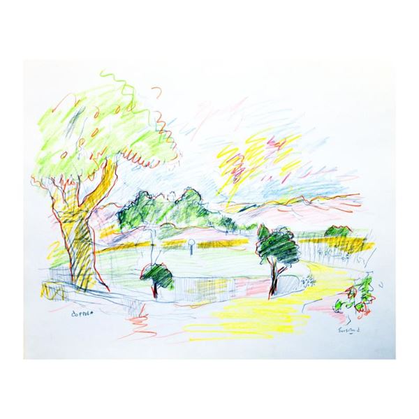 Niebaum-Coppola Vineyard, Napa Valley by Ensrud Original