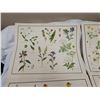 Image 10 : 9 Very old McMillan, wild flowers prints - 21"x17"