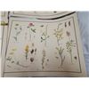 Image 2 : 9 Very old McMillan, wild flowers prints - 21"x17"