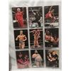 Image 3 : 18 Old WWF wrestlers card