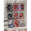 Image 3 : NHL hockey card lot