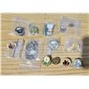 Image 1 : Lot of First Nations Collectible Pins