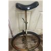 Image 3 : Unicycle - needs tire repair