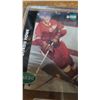 Image 2 : Gordie Howe and Wayne Gretzky cards in Plastic