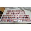 Image 1 : 9 Pages of Hockey Cards (unchecked)